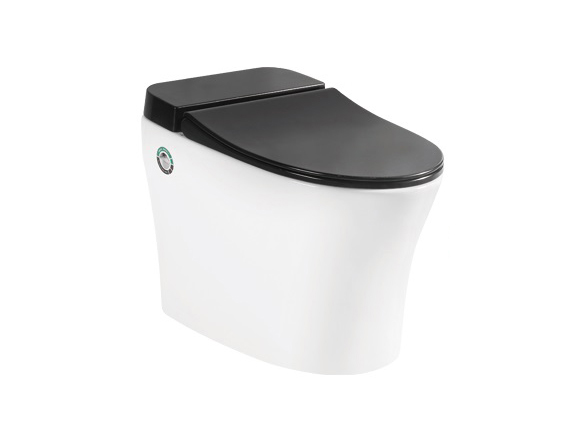 脉冲坐便器